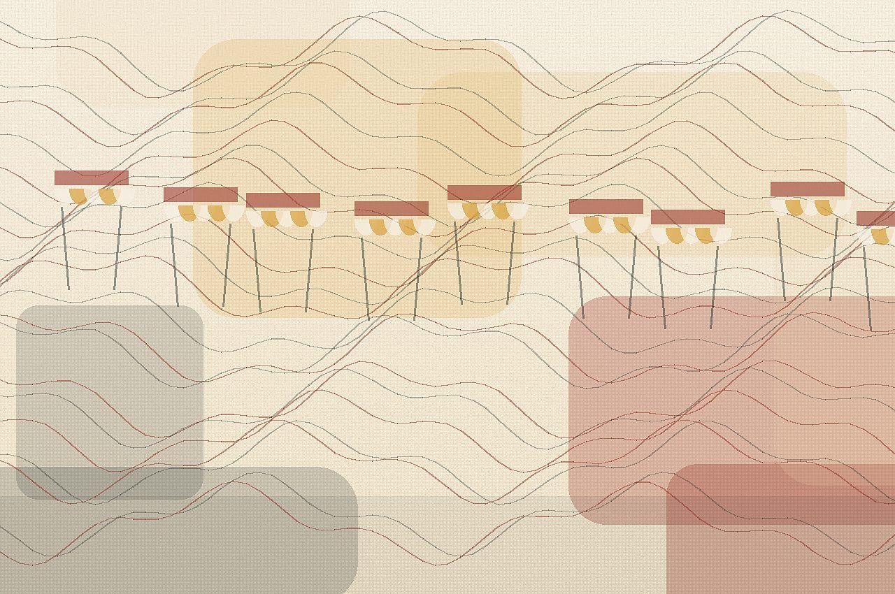 Illustration du guide Un bon resto à Pau : 8 choix utiles au-delà du centre-ville
