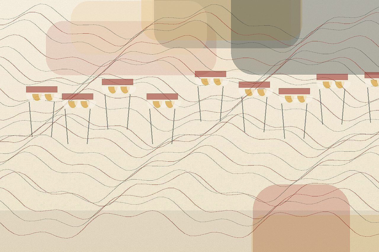 Illustration du guide Les Meilleurs Restaurants à Pau se choisissent selon vos envies