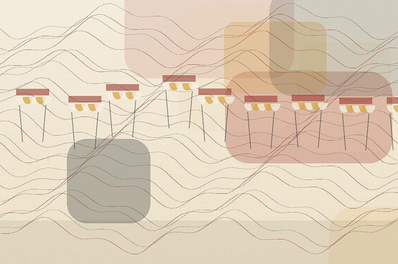 Illustration du guide Où manger des sushis à Pau selon vos envies ?