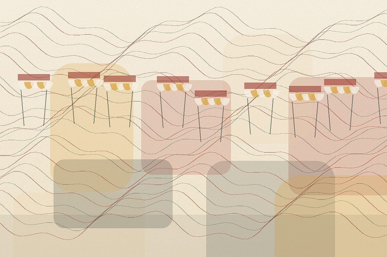 Illustration du guide Un Restaurant à Navarrenx se choisit selon votre moment
